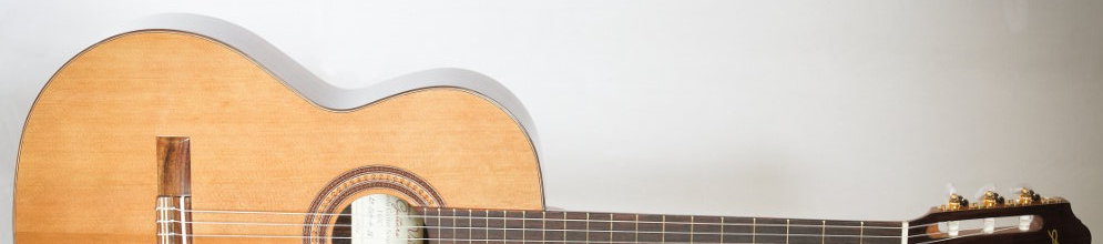 Guitare Kremona Fiesta F65CE