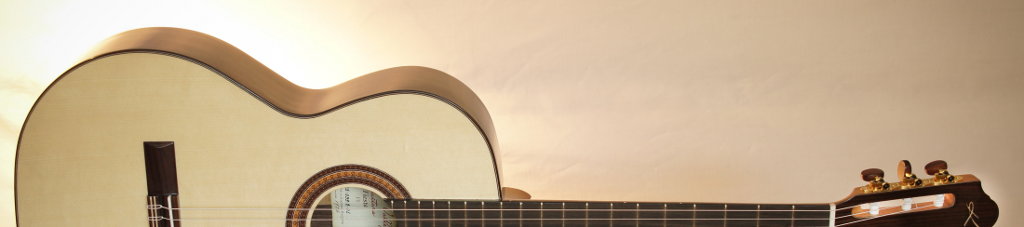 Guitare Kremona Fiesta FS